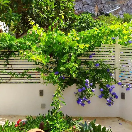 Grandpa's Traditional * Amorgos